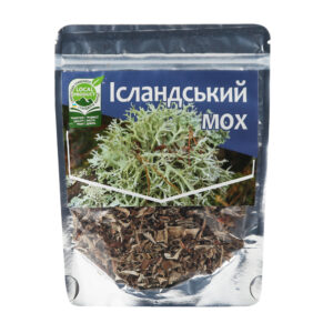 Ісландський мох